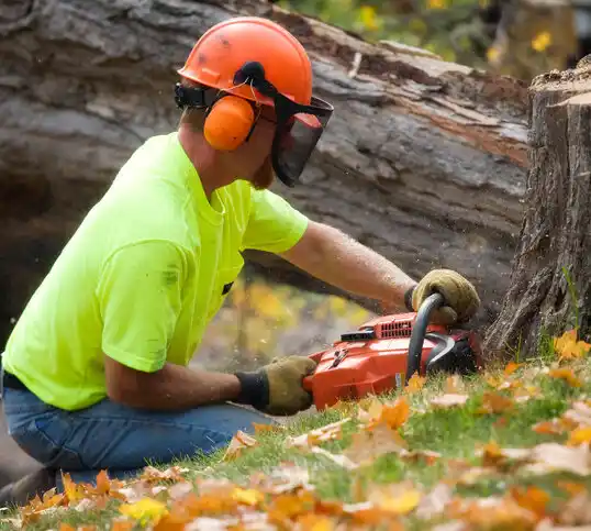 tree services Somers Point